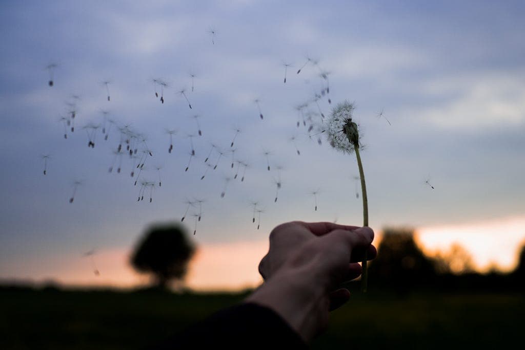The Power of  Letting Go